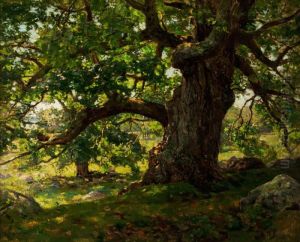 The Oak