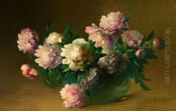 Peonies - view 1