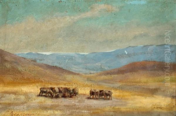 Sheep Near Madam Modjeska's Forest of Arden - view 1