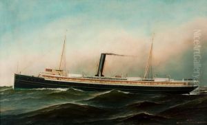 Steam Ship Manhattan by Antonio Nicolo Gasparo Jacobsen