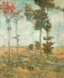Summer Trees Summer Trees