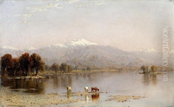 The White Mountains - view 1