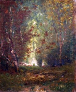 Woodland Interior Woodland Interior