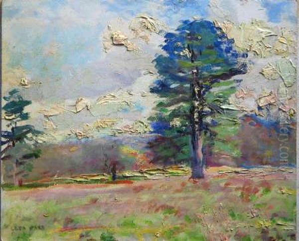 Cedre et effet de ciel - view 1