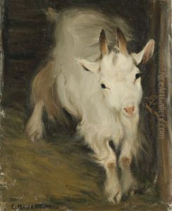 He-Goat He-Goat