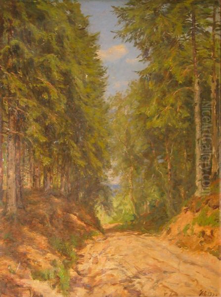 A path in a pinewood. - view 1