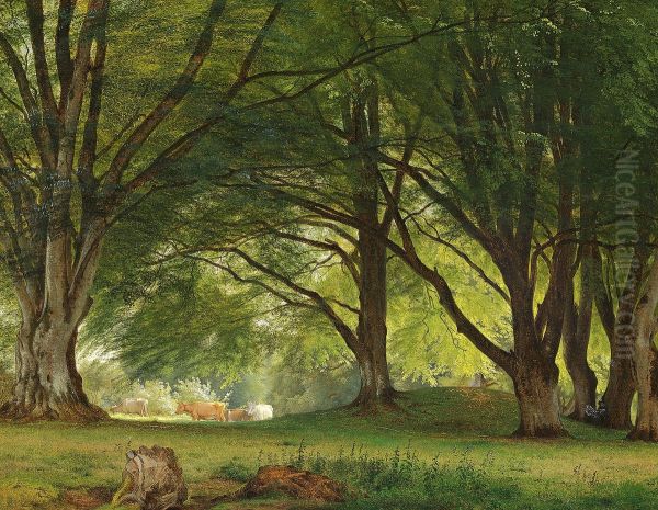 Cows in a glade at the edge of a forest. - view 1