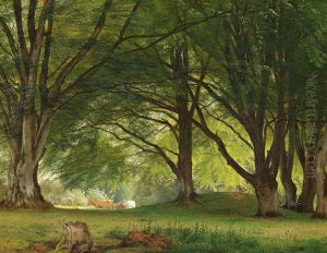 Cows in a glade at the edge of a forest. by Godtfred Rump