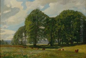 A landscape with cows and tall trees. A landscape with cows and tall trees.