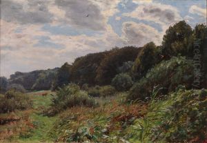 Clouds drifting over a landscape