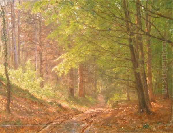 Springtime in a forest. - view 1