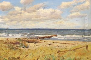 View from the beach at Hornbaek, with Kullen in Sweden in the distance.