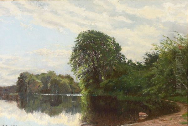 Summer at a pond in a forest. - view 1