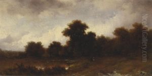 Wetland landscape