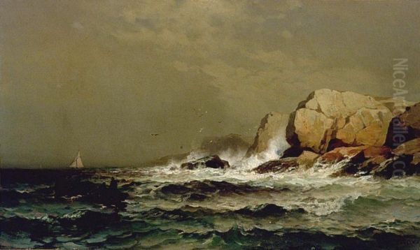 Stormy Coastline - view 1