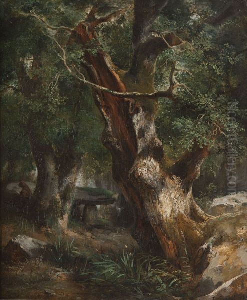 Le Chene au dolmen dans la foret de Broceliande - view 1