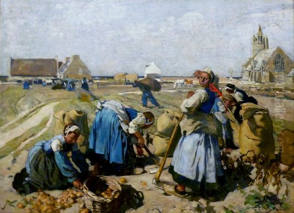 La recolte des pommes de terre. - view 1