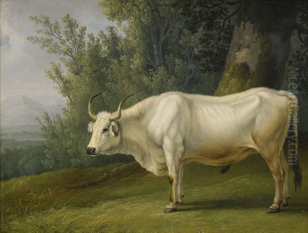 Landschaft mit Stier - view 1