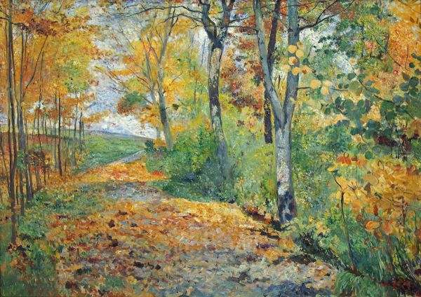 Herbstlicher Wald - view 1