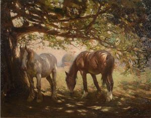 Two Horses in the Shade