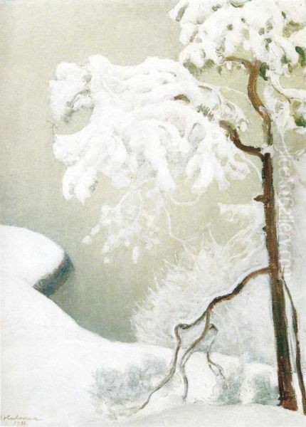 Ensi lumi - view 1