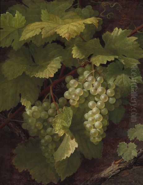Green grapes - view 1