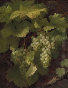 Green grapes Green grapes