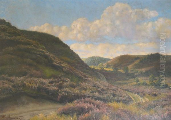 Landscape with heather. - view 1