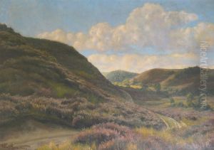 Landscape with heather.