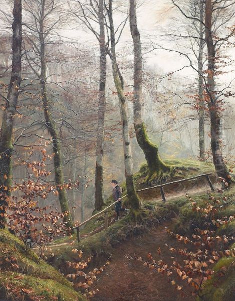 A boy walking through a Danish wood. - view 1