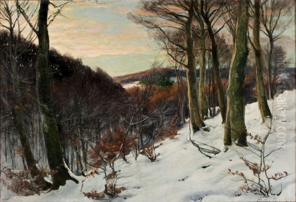 Winter landscape with snow. - view 1
