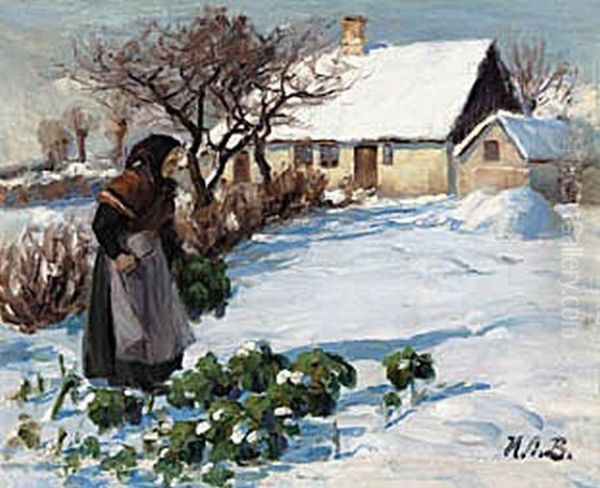 A farmer's wife getting cabbage from the garden in winter. - view 1