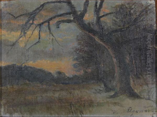 Winter landscape at sunset. - view 1