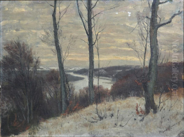 View near Munkebjerg, Denmark. - view 1