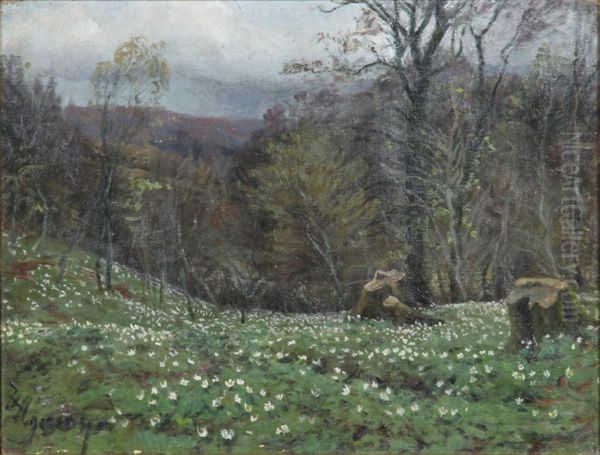 Forest scene with anemones. - view 1