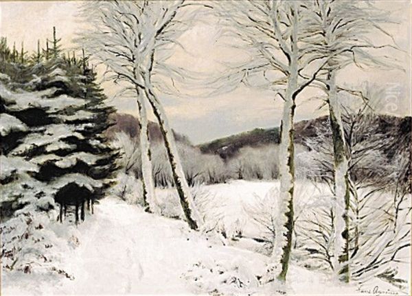 Forest in winter. - view 1