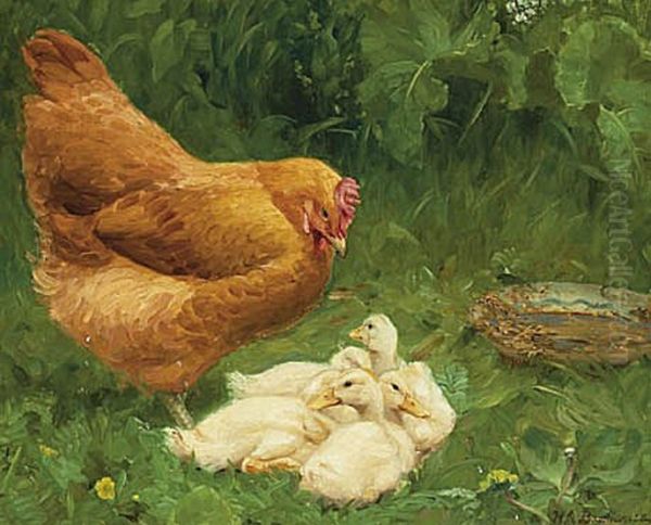 A hen and some ducklings. - view 1