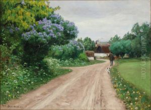 Country road with flowering lilacs and golden rains Country road with flowering lilacs and golden rains