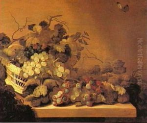 Still life with basket of wine grapes with leafy vines