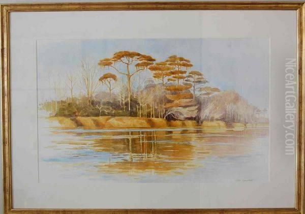 Altamaha Morning - view 1