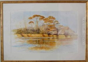Altamaha Morning by J. Alan Campbell
