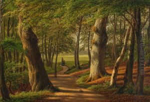 The woods by Hellebaek The woods by Hellebaek