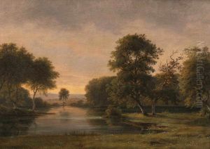 Forest scene in Jaegersborg Dyrehave, Copenhagen