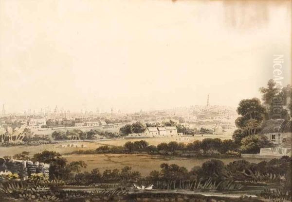 View Over Dublin - view 1
