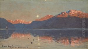 Der Sognefjord bei Balestrand. Der Sognefjord bei Balestrand.