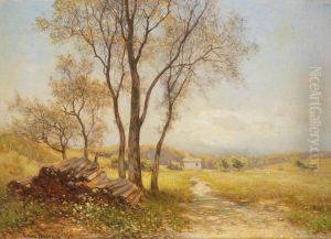 Sommerlandschaft by Hans Dworak