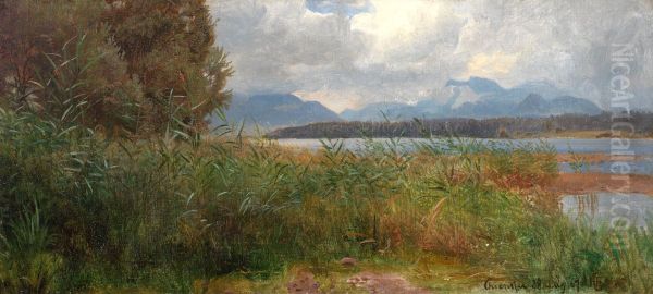 Sivstudie, Chiemsee - view 1
