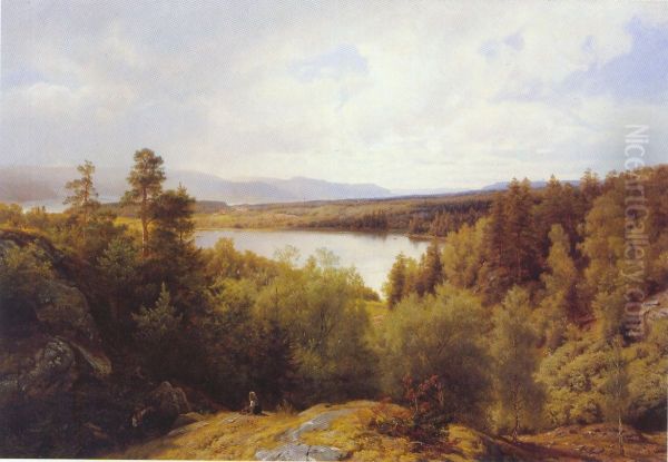 Asterudtjernet, Ringerike - view 1