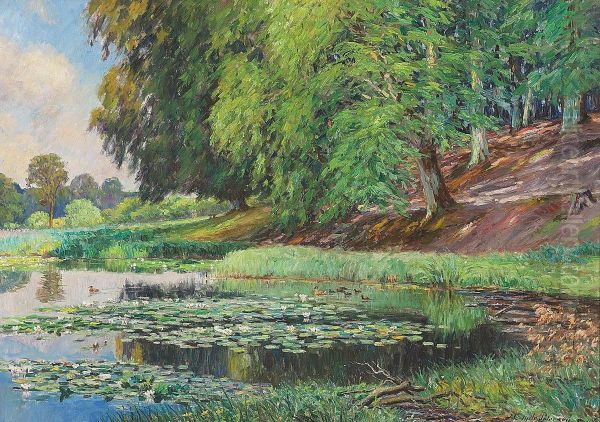 Forest scene with a pond and some water-lilies. - view 1