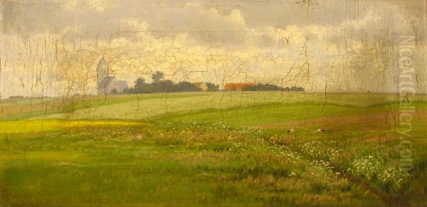 A field with two storks and a village in the distance. - view 1